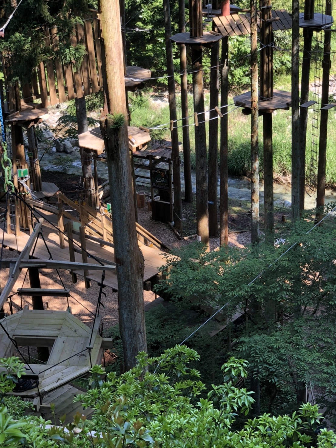 フォレストアドベンチャー西条|新着情報|三好西部森林組合