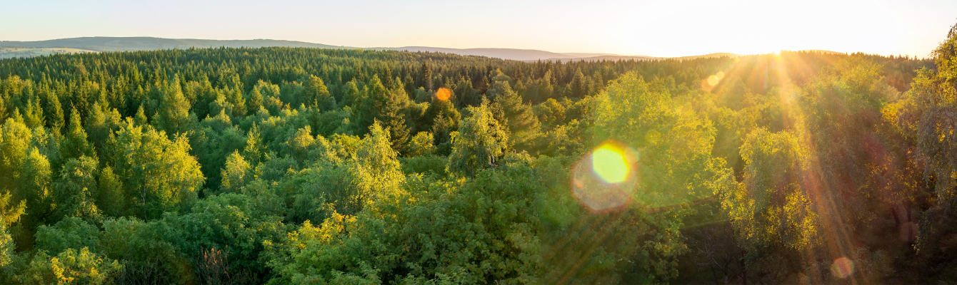 J-クレジット制度への加入